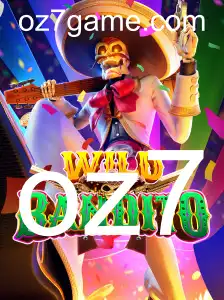 Explorando o Mundo de WildBandito: Um Guia para Iniciantes
